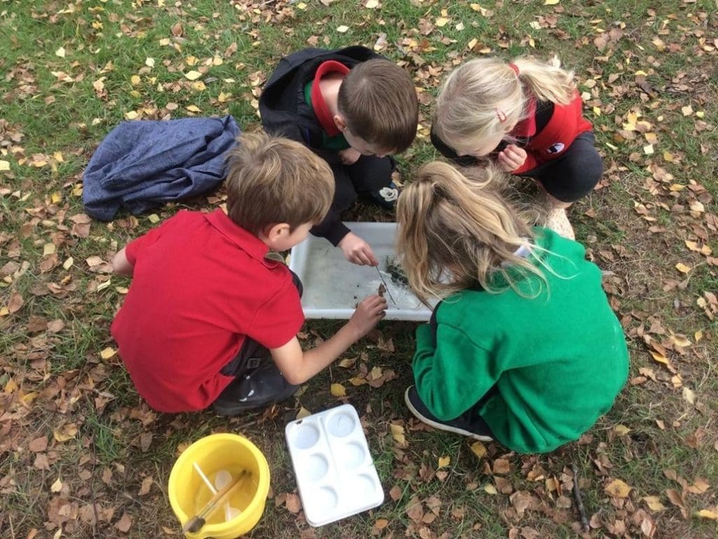 school group in a field doing nature tests