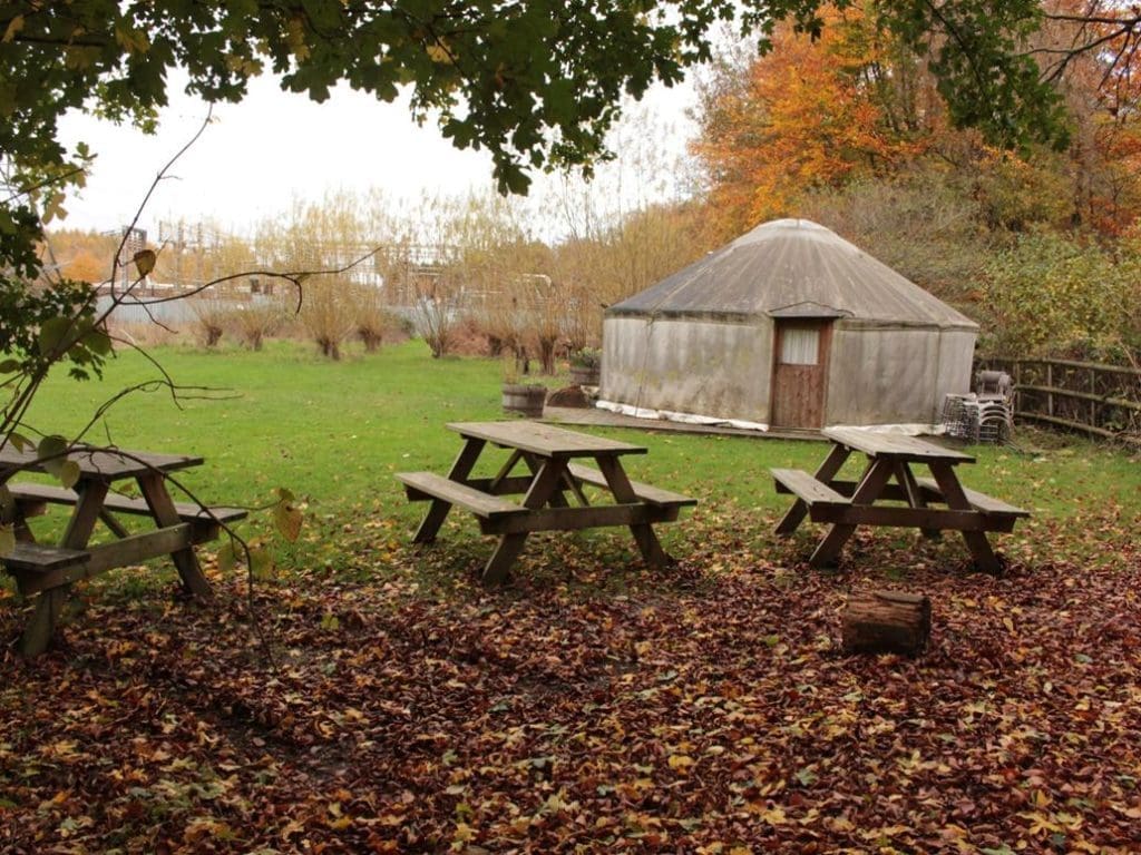 wooden barn in field