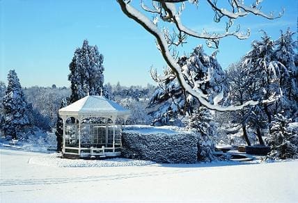 Birmingham Botanical Gardens winter