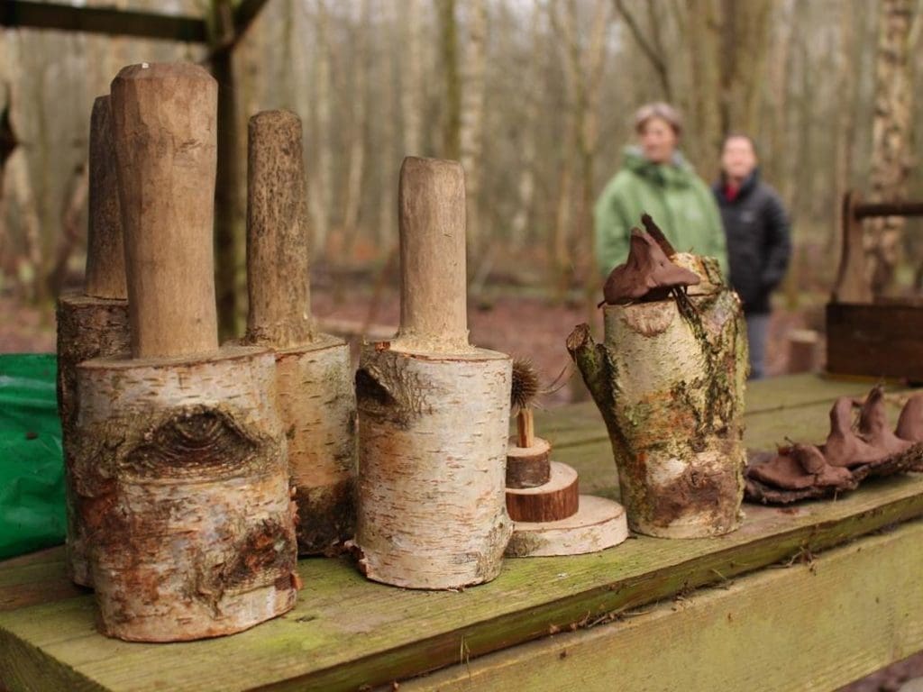 students in woods playing
