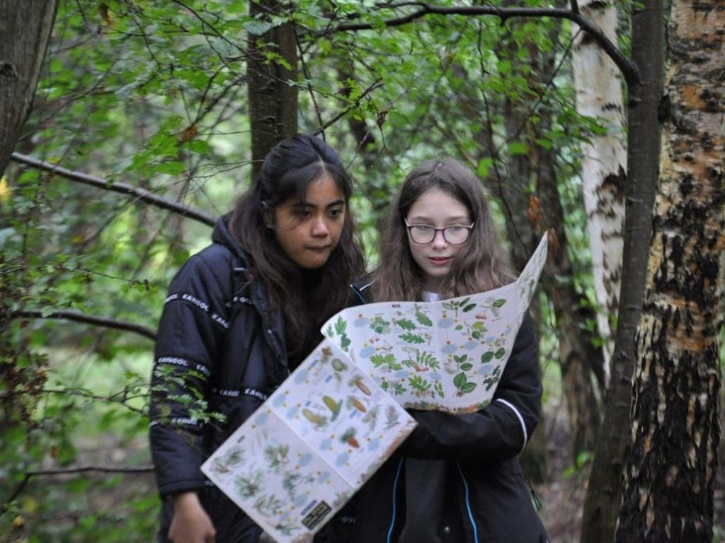 pupils holding nature map in a wood