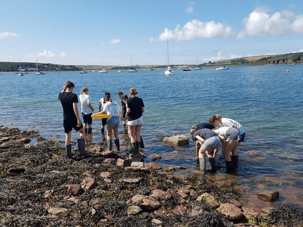 school group in rock pools at the sea side