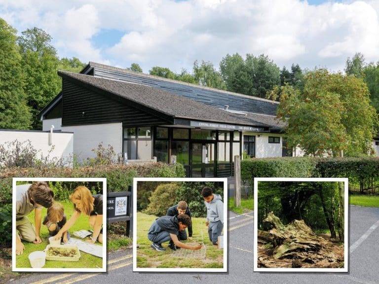 Epping field study centre