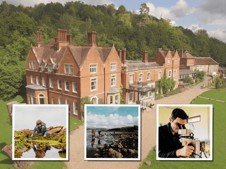 regency accommodation building