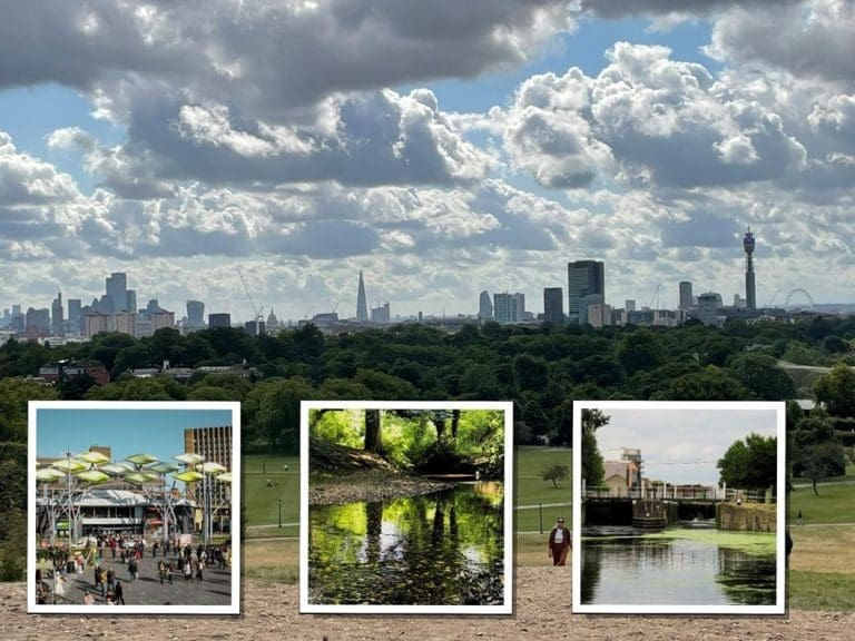 the London skyline from a park