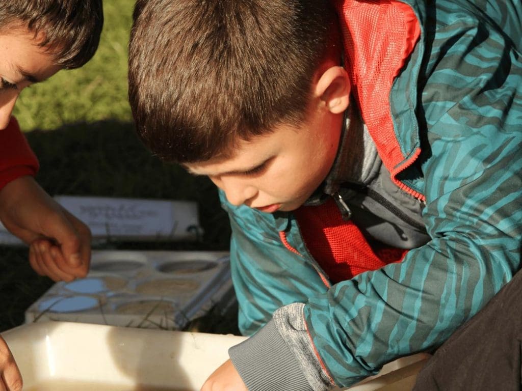 primary school trip student looking at a white examination tray with river water in it