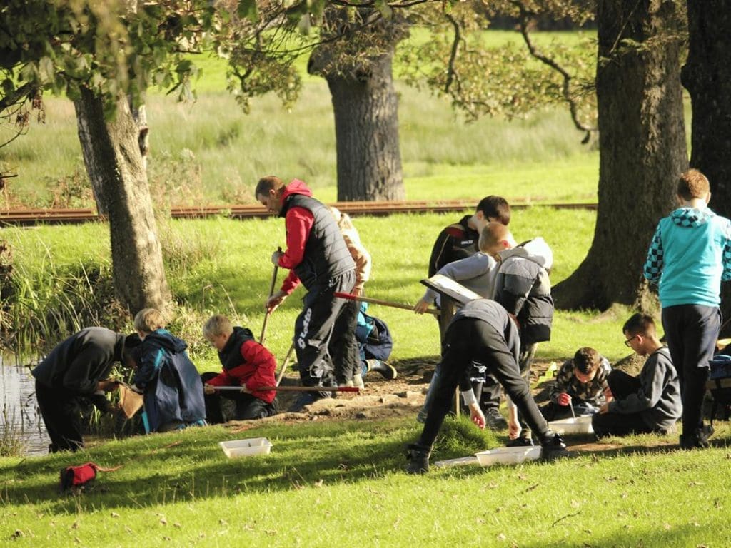 school group doing pond dipping