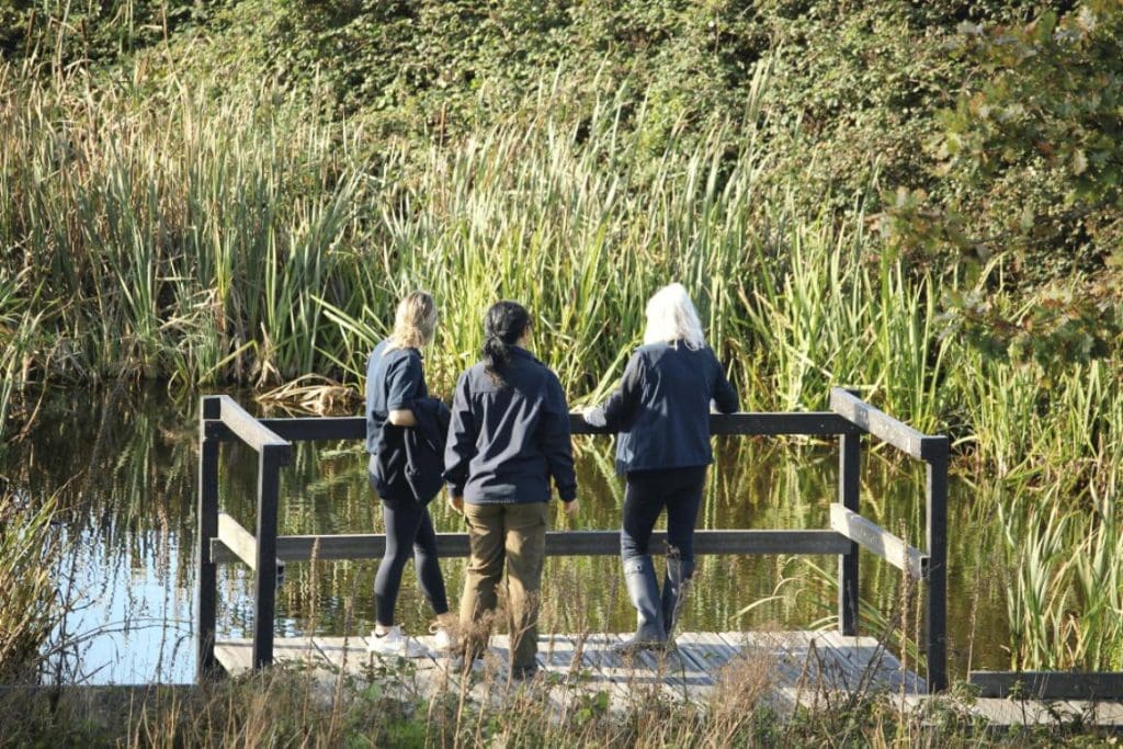 school pupils at Margam discovery centre
