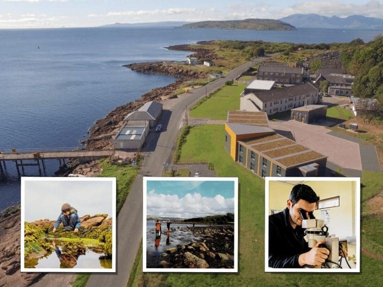 coastal view of Millport buildings next to the sea