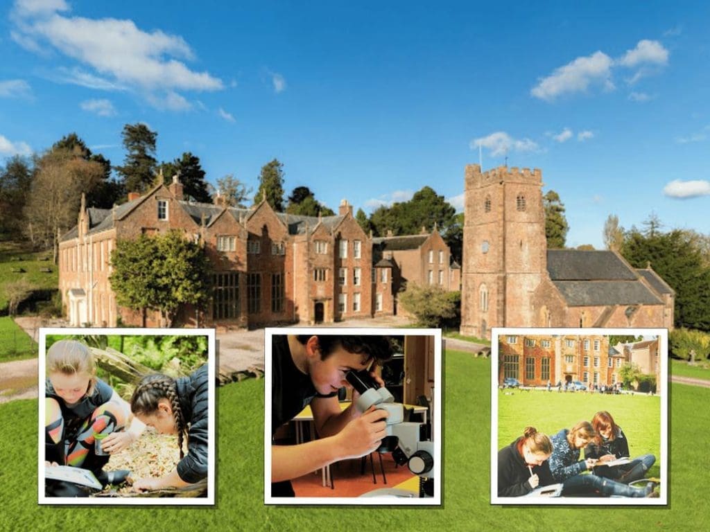 Nettlecombe court
