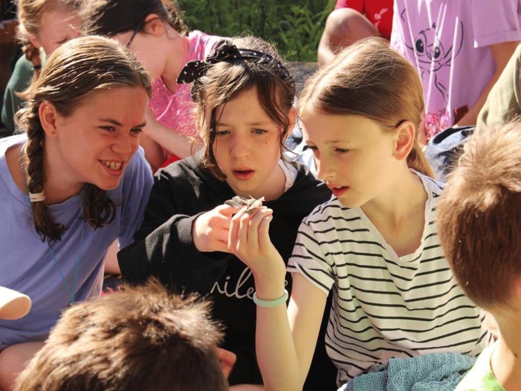 three school pupils in a flower bed filed looking at butterflies