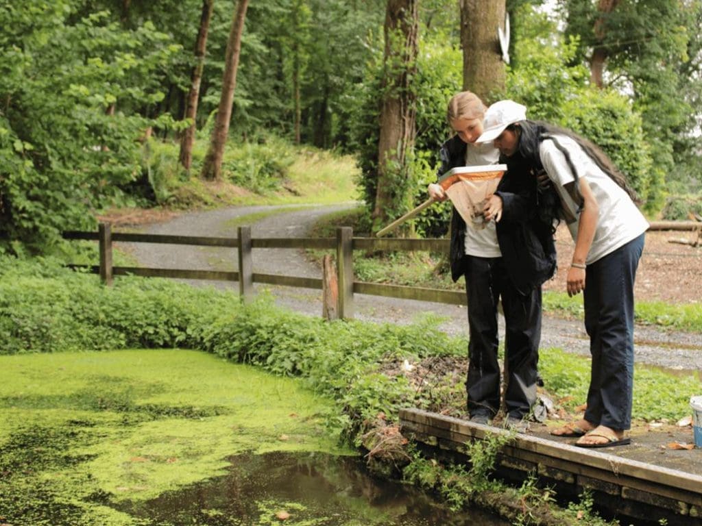 two secondary school pupils with a net looking at its contents from a pond