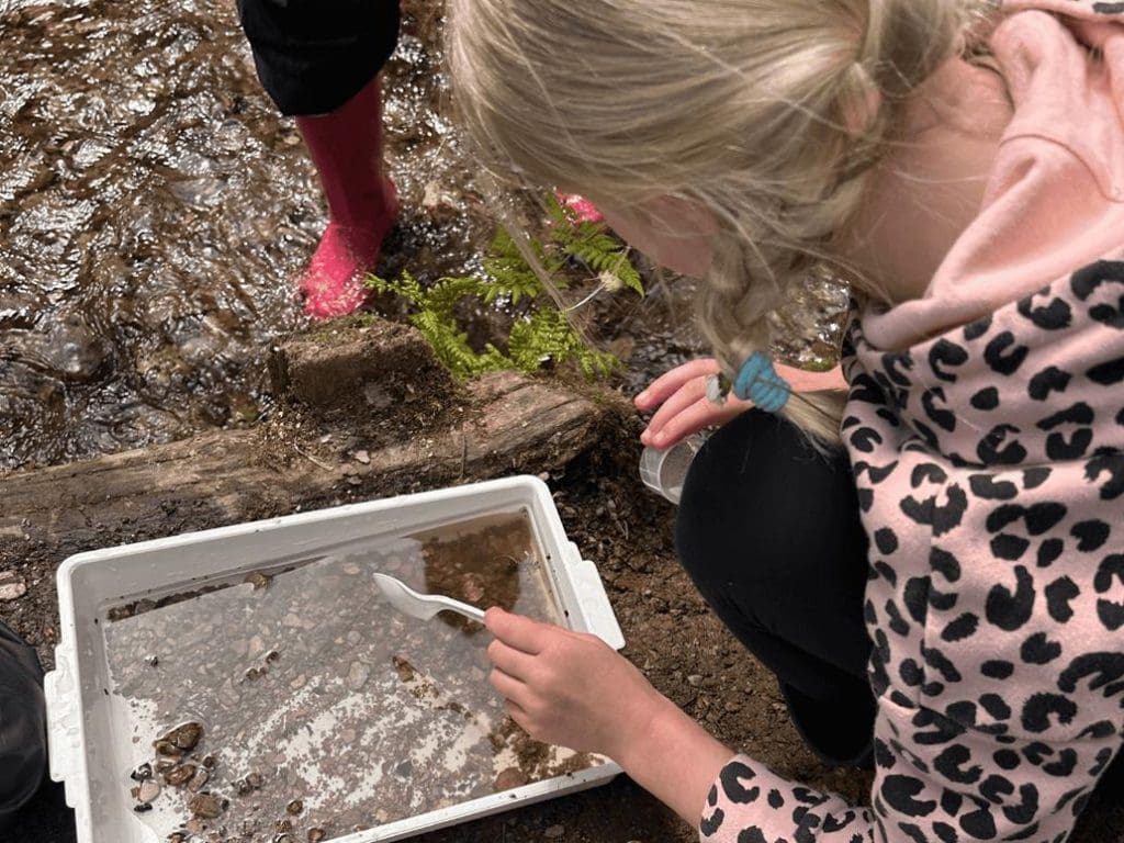 primary school child doing biology work outside with an investigation tray with water and gravel in it
