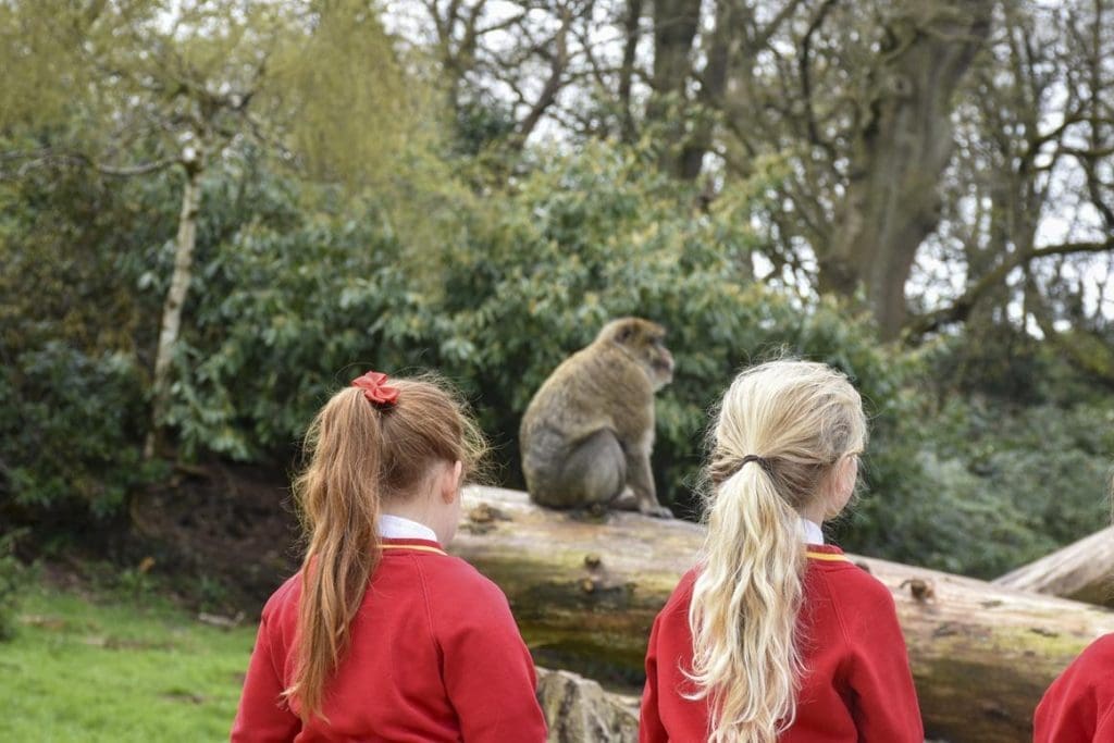 Trentham4