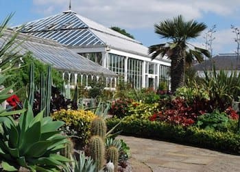 birmingham-botanical-gardens-2