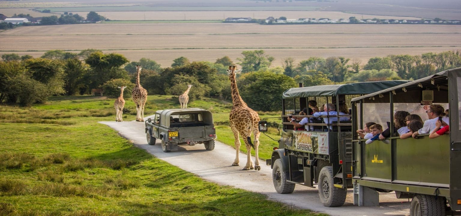 Port Lympne Safari Park Kent | UK School Trips