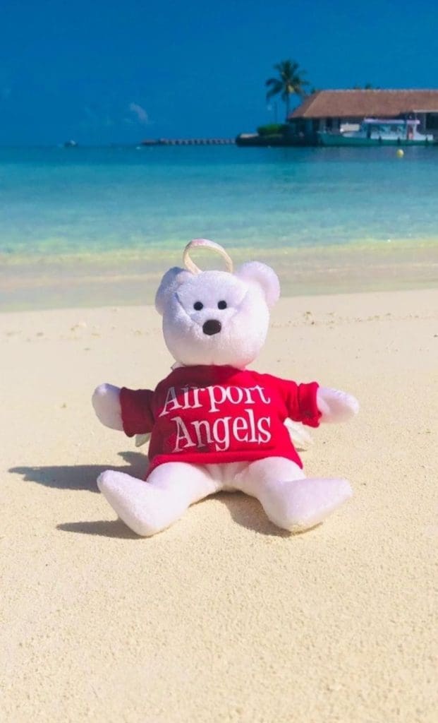 picture of teddy bear on beach