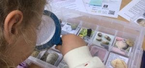 school pupil looking at shells in an fossil box