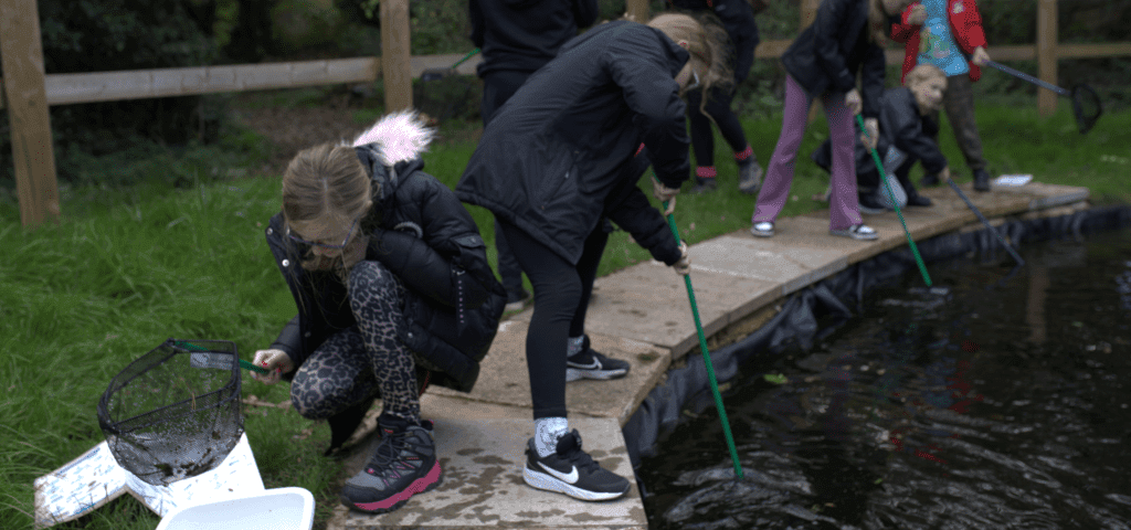 school pupils doing pond dipping activities