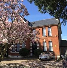 back of accommodation block in London