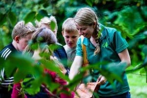 school pupils looking at different plants and trees outside in the countryside