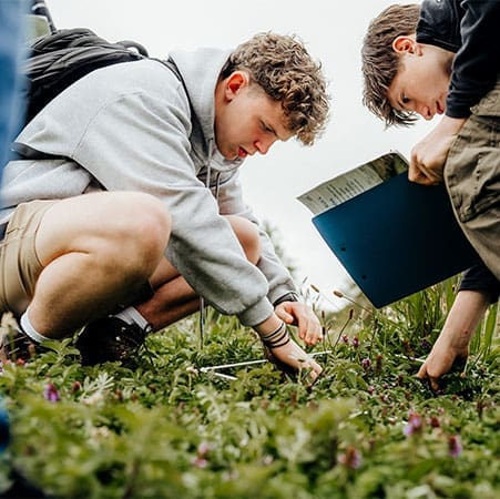 school pupils doing science field studies in a field